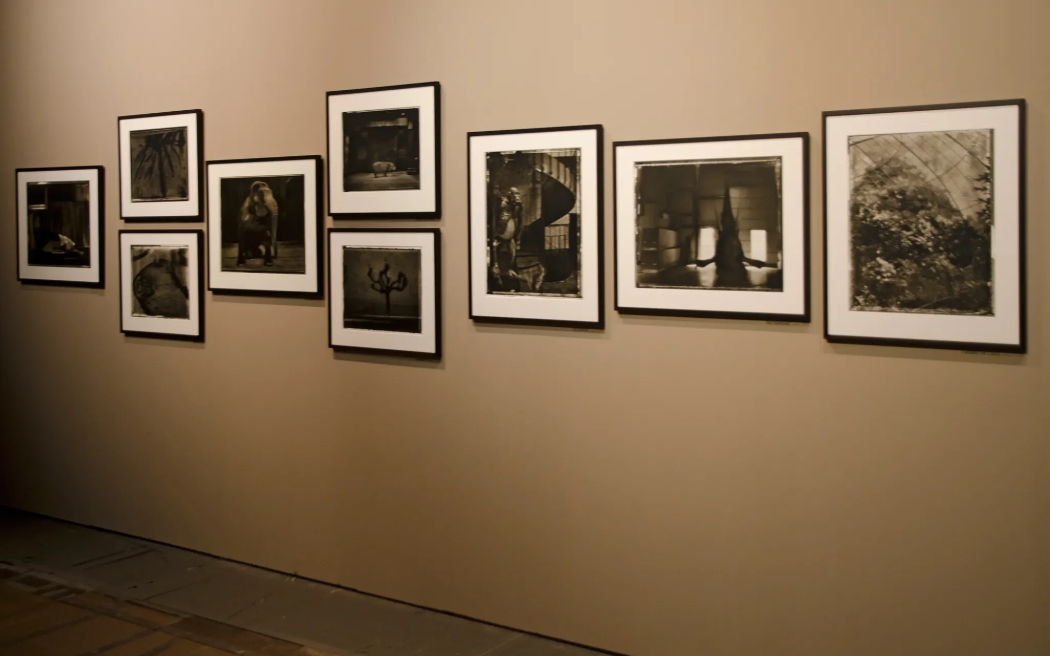 Clichés de Sarah Moon disposés sur un mur.