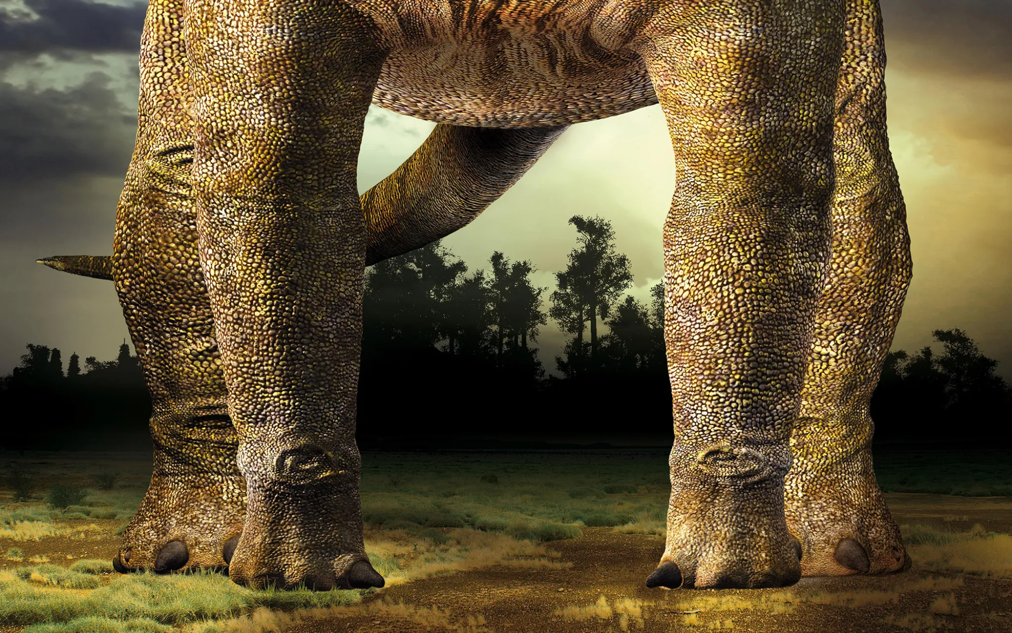 Pattes de dinosaure.