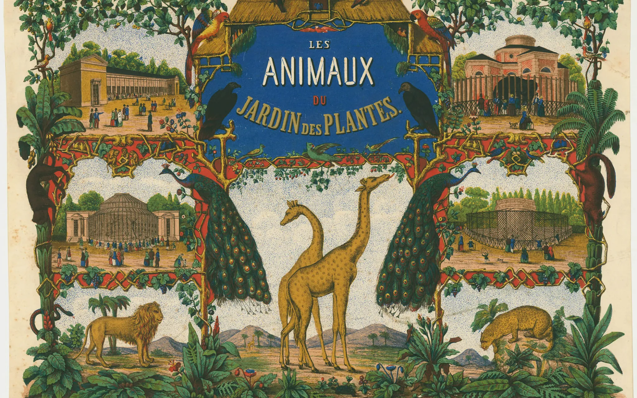 Les stars d’hier de la Ménagerie