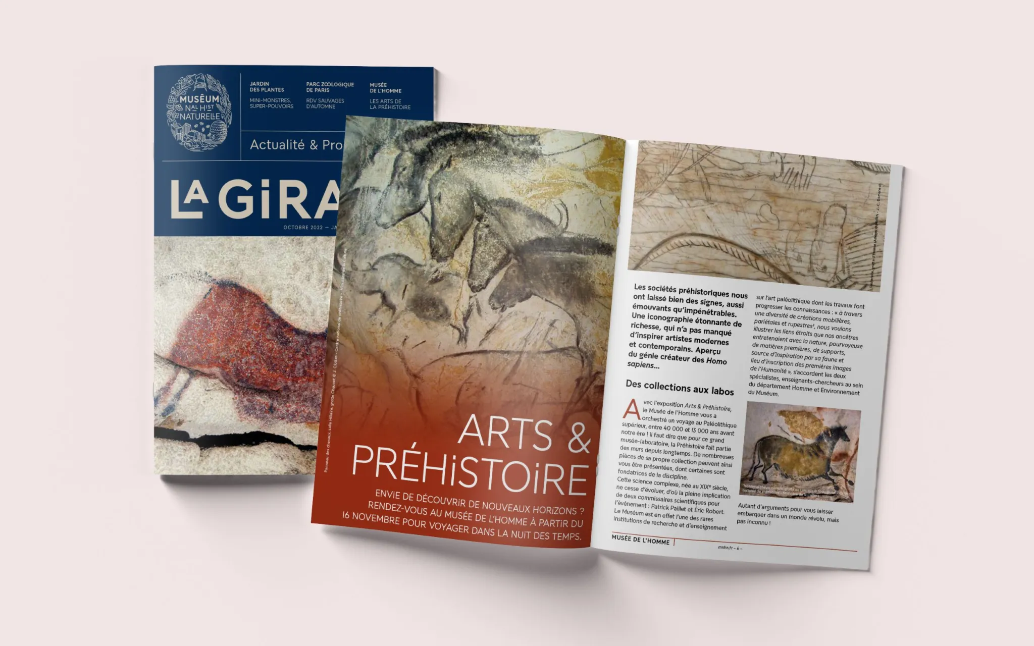 Numéro 8 du magazine La girafe © MNHN