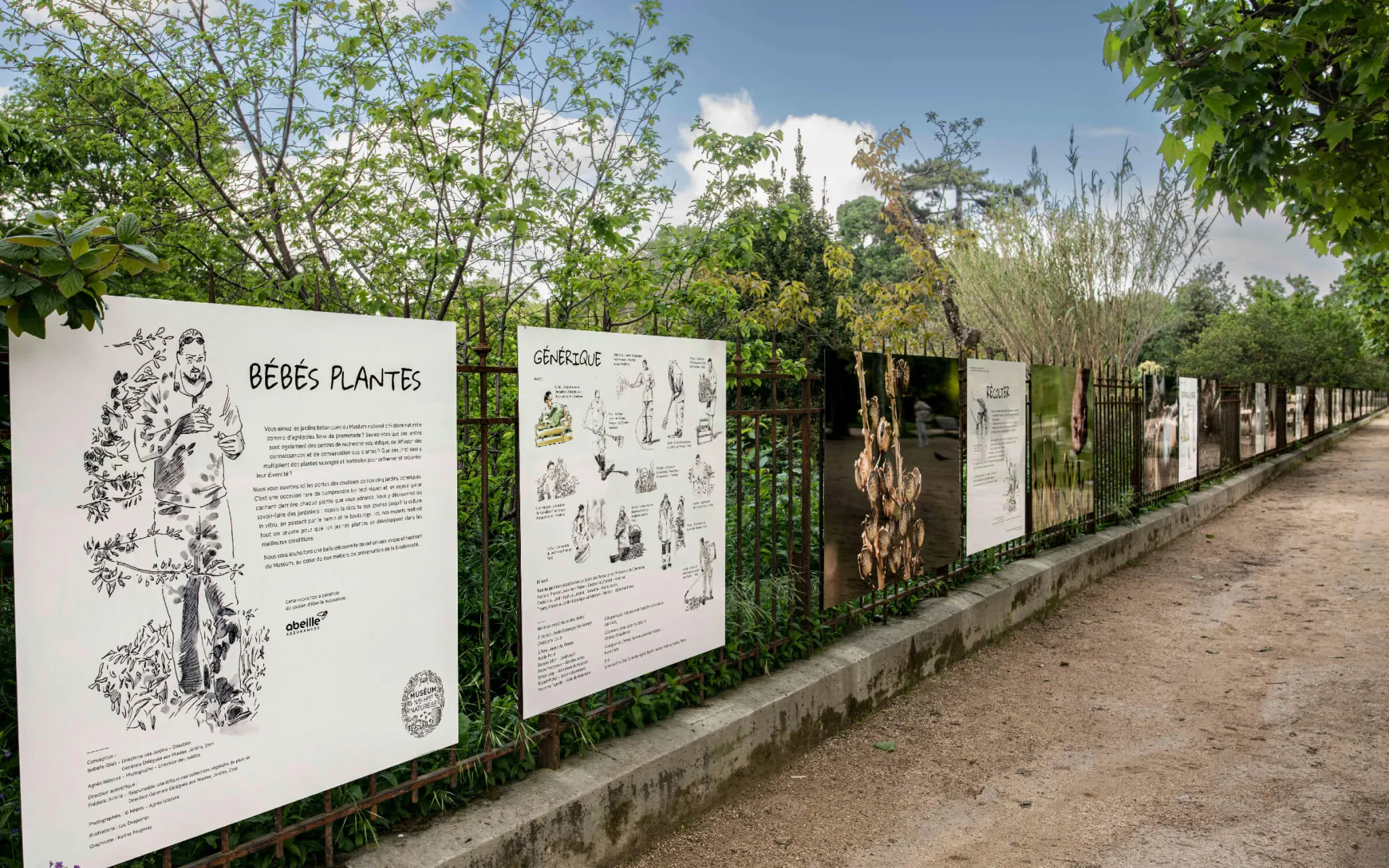 Panneaux de l'exposition photo « Bébés plantes » au Jardin des Plantes