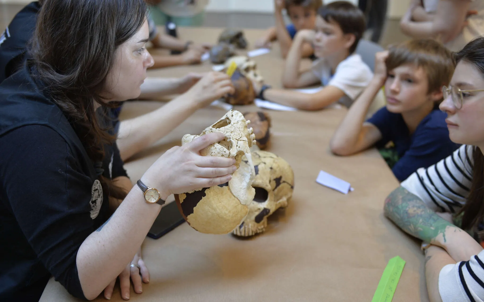 Fête de la Science au Musée de l'Homme