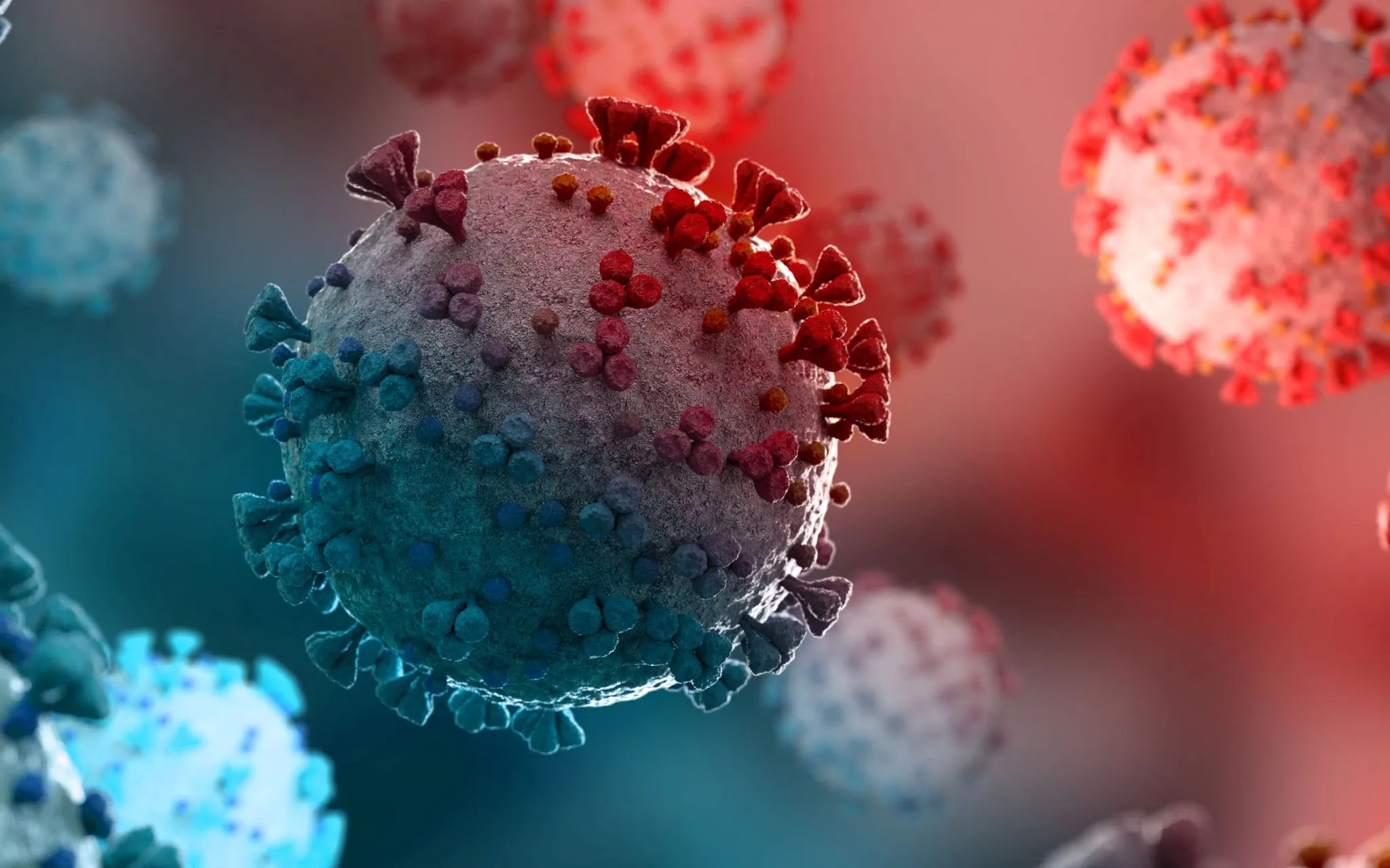 Coronavirus au microscope