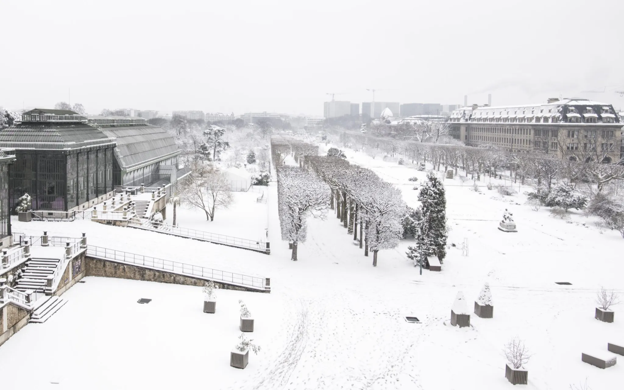 Jardin des Plantes sous la neige
