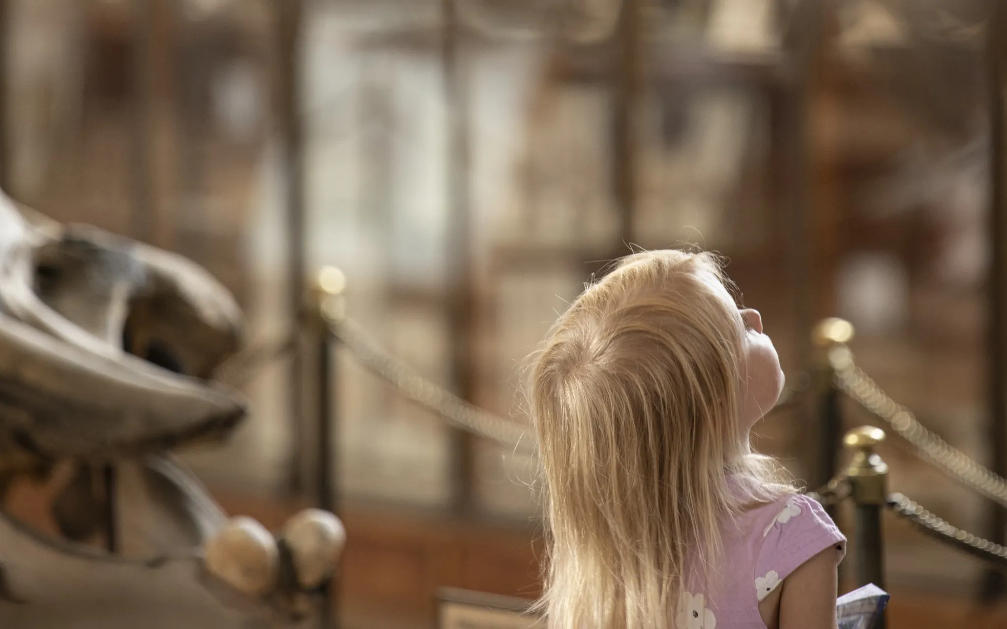 Enfant dans la Galerie de Paléontologie et d'Anatomie comparée © MNHN - A. Iatzoura