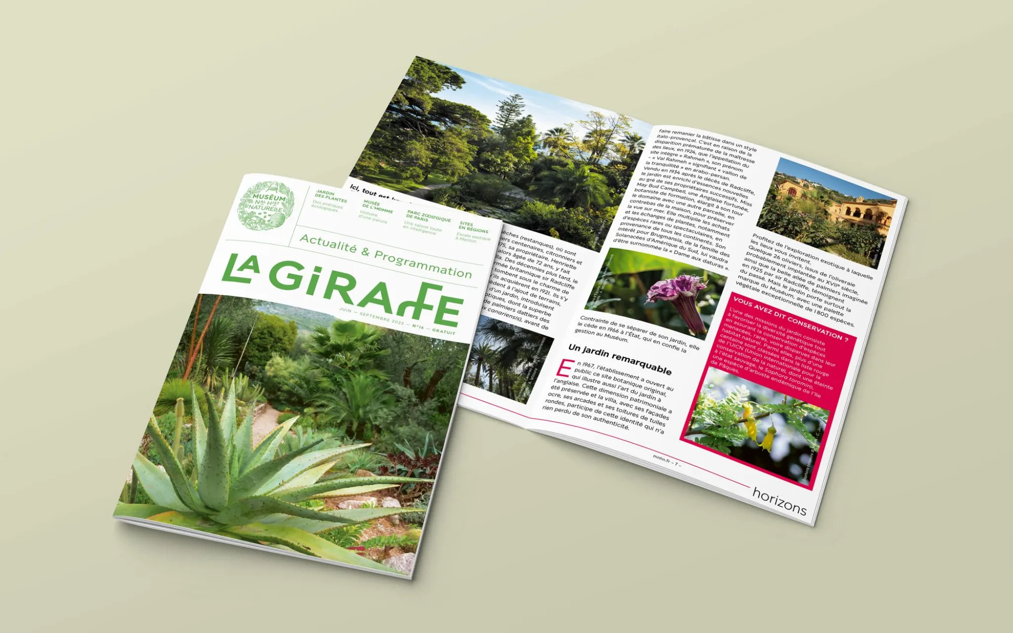 Magazine La Girafe n° 16, juin - septembre 2025 © MNHN