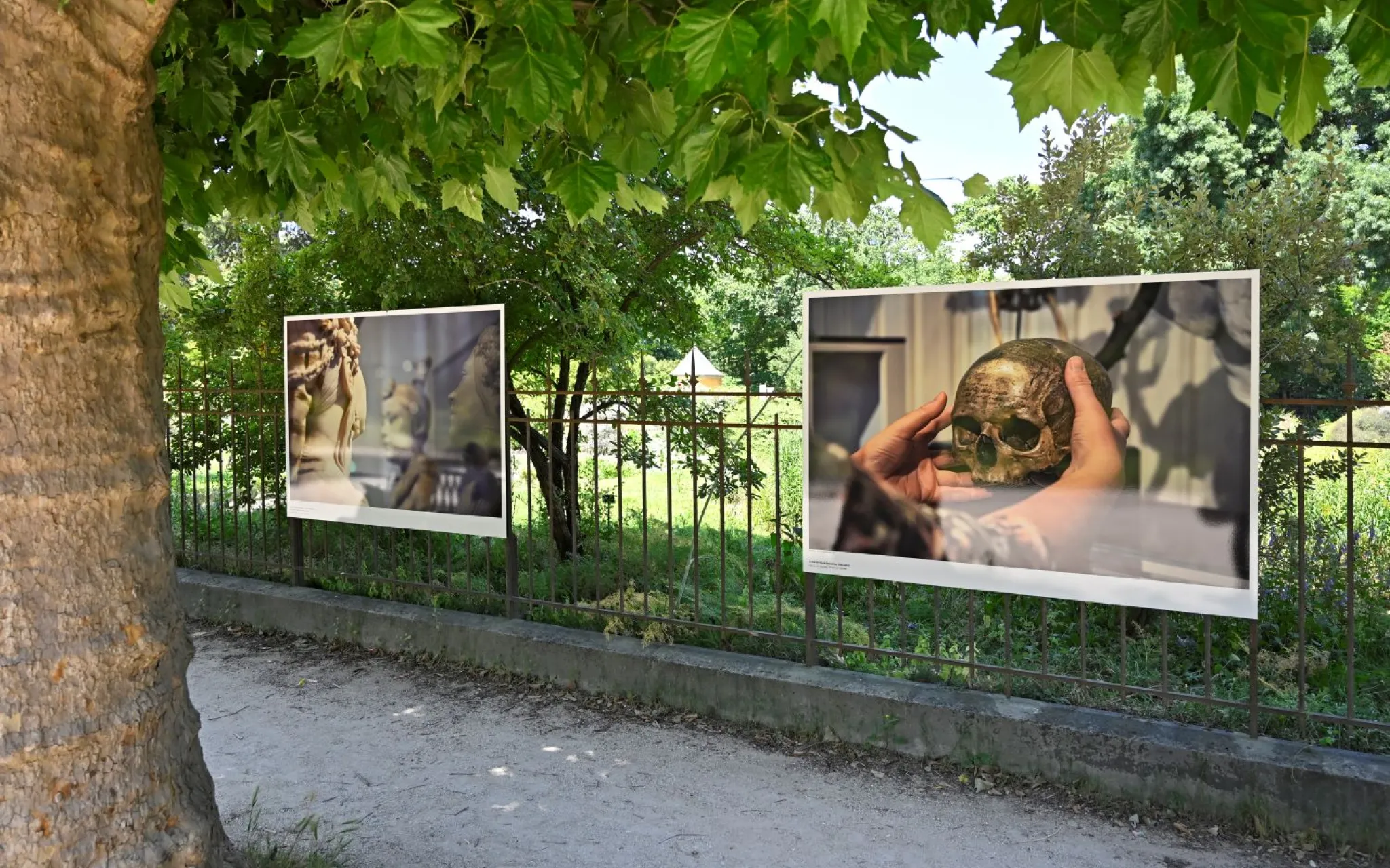 Exposition photo
