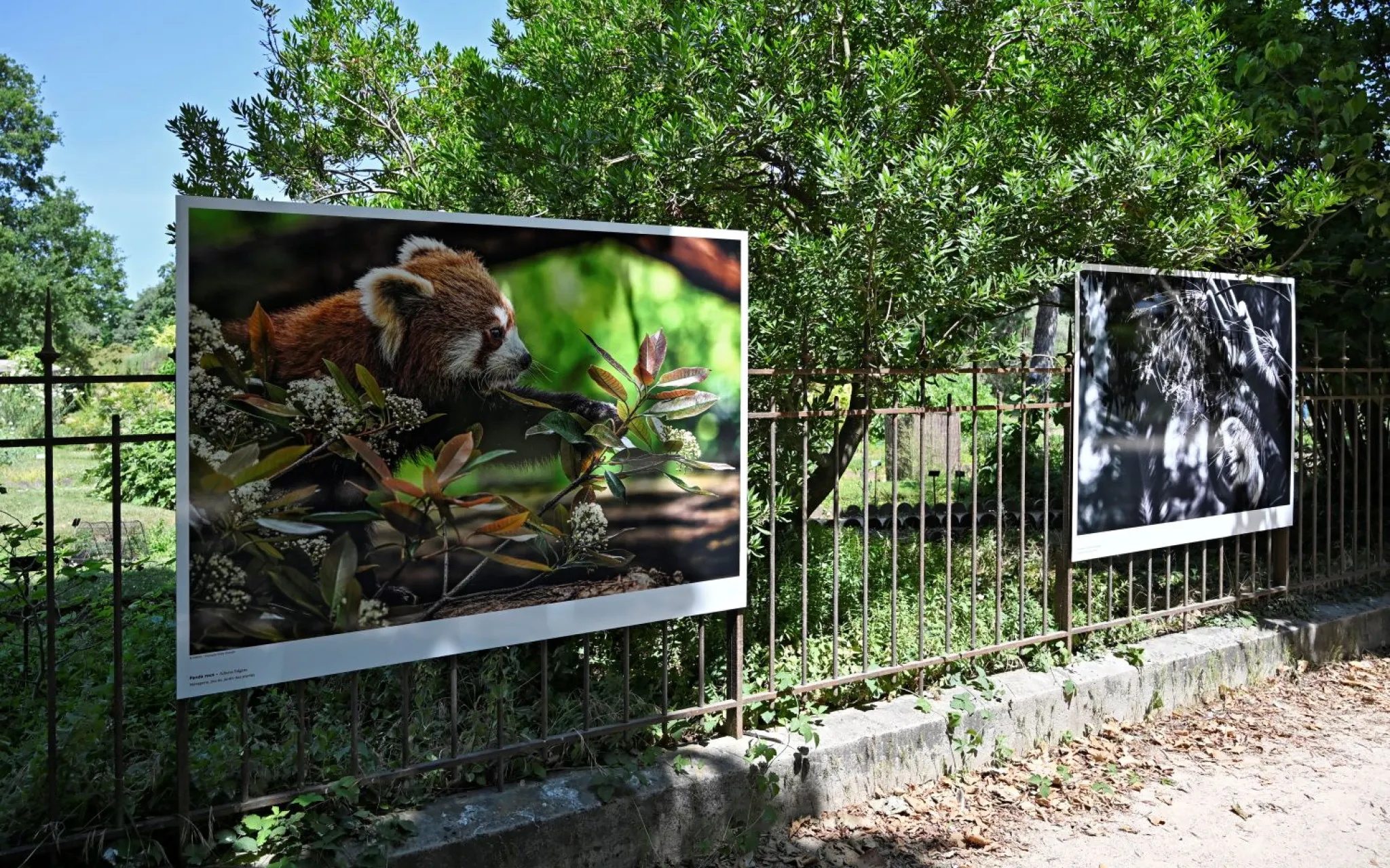 Exposition photo