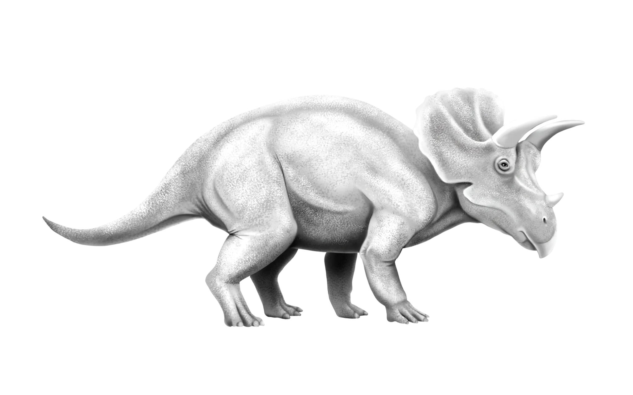 Illustration de Triceratops horridus