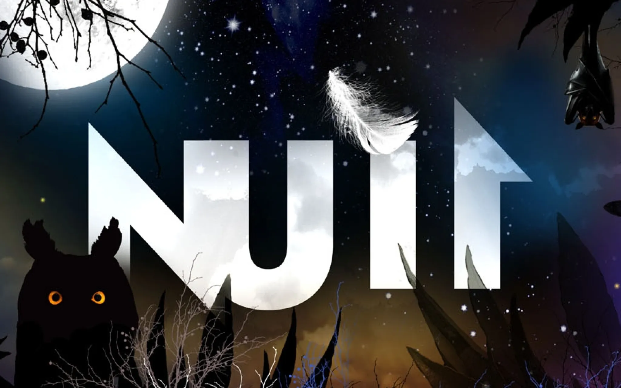 Affiche Nuit