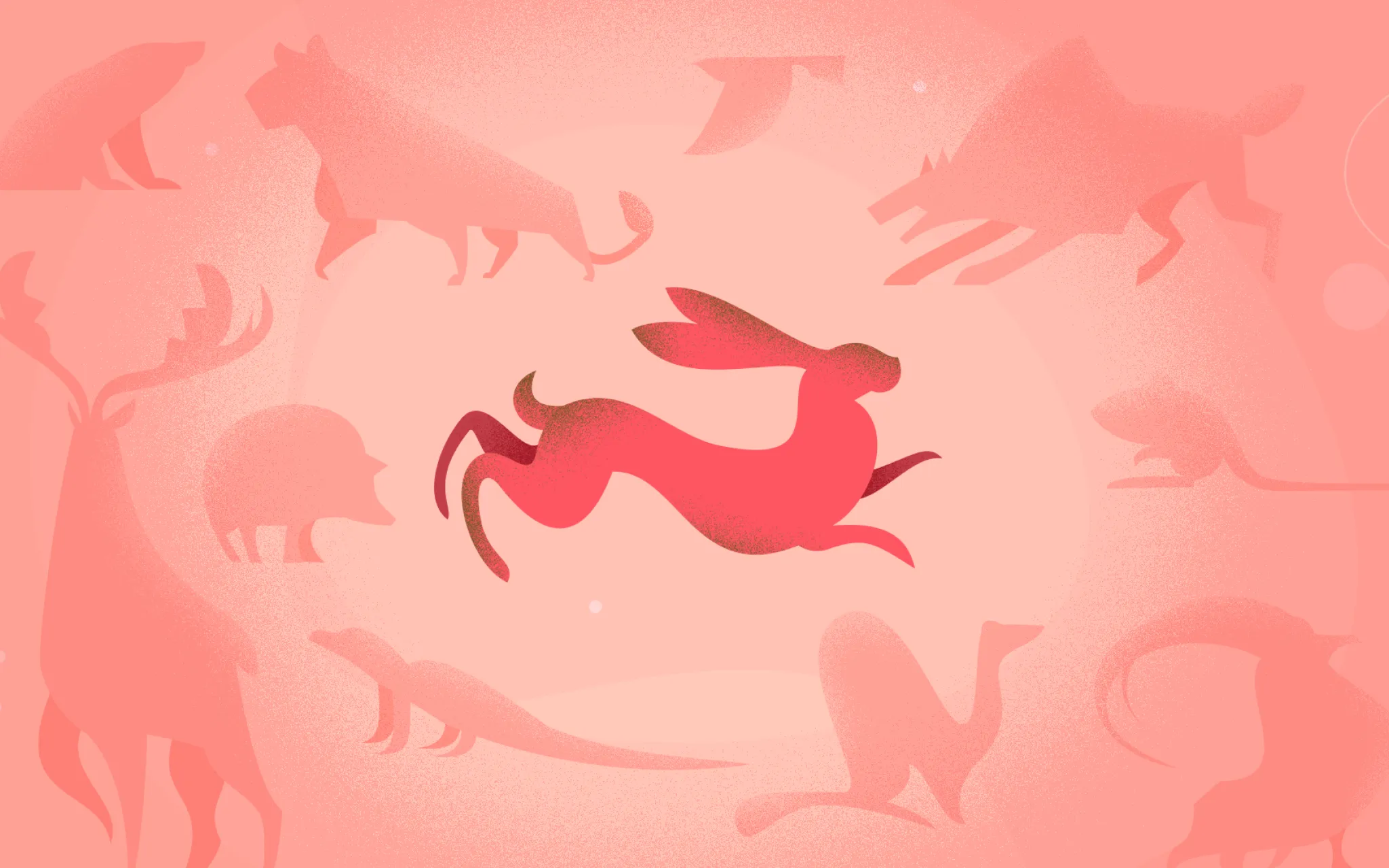 Web-série Humains et autres animaux © MNHN Web-série Humains et autres animaux