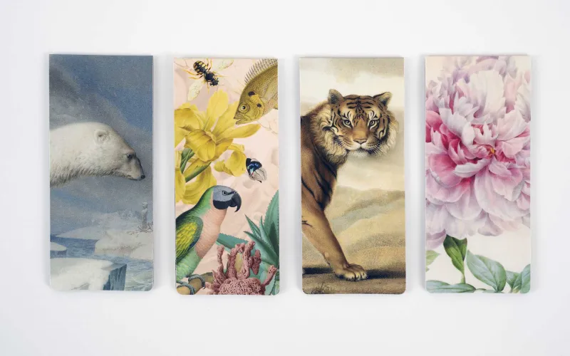 Objets de la boutique du Muséum avec des motifs d'ours polaire, poissons, tigre et pivoine.