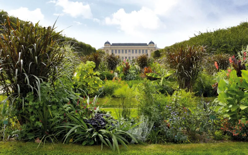 Perspective du Jardin des Plantes avec la Grande Galerie de l'Évolution