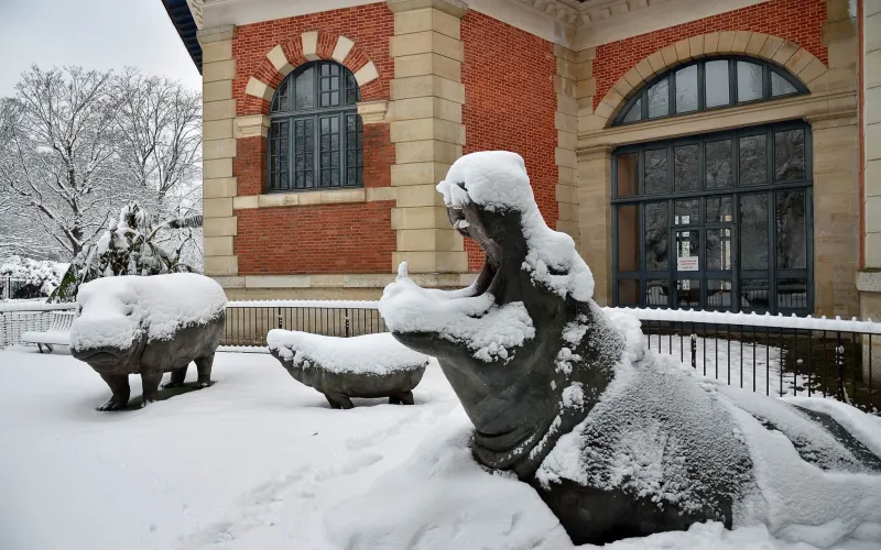 Ménagerie du Jardin des Plantes sous la neige