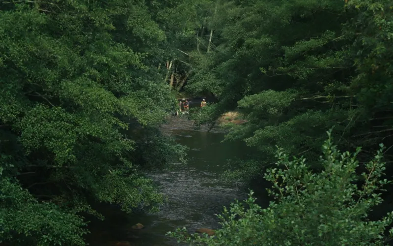 La rivière de Dominique Marchais