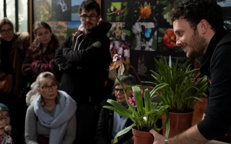Animation sur les orchidées sauvages