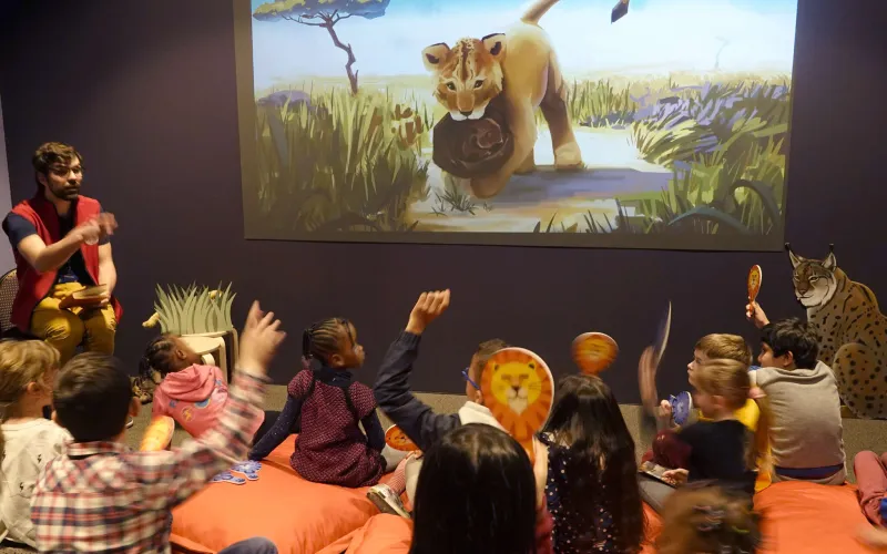 A l'école des lionceaux