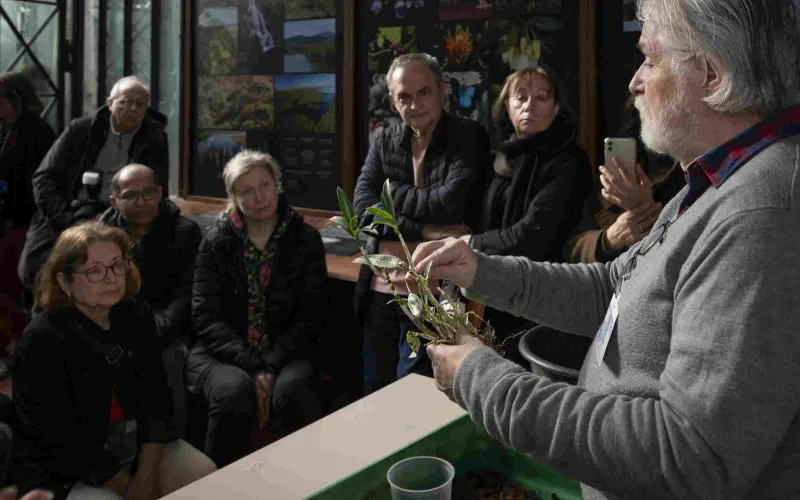 Atelier de rempotage d'orchidées
