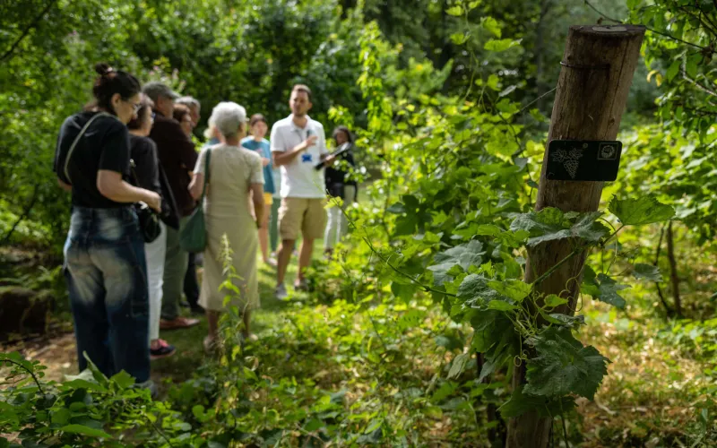 Visite guidée du jardin écologique avec Dylan Dumont