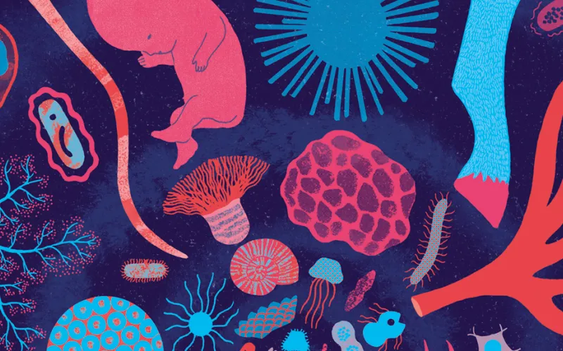Détail de la couverture « Notre ancêtre », illustrée par Clémence Pollet pour la revue imaginaire « The Parisianer »
