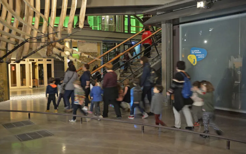 Visite scolaire dans la Grande Galerie de l'Évolution