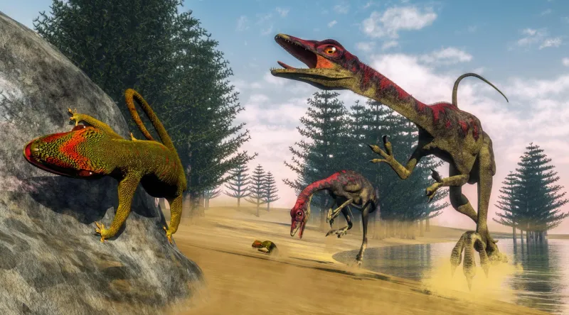 Compsognathus longipes (Jurassique supérieur)