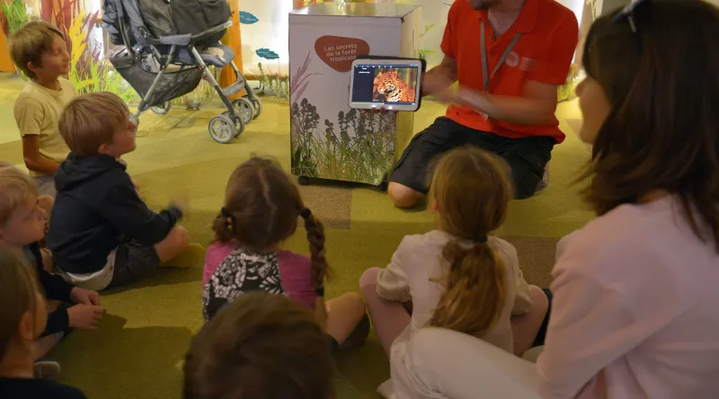 Médiation dans la Galerie des Enfants du Muséum