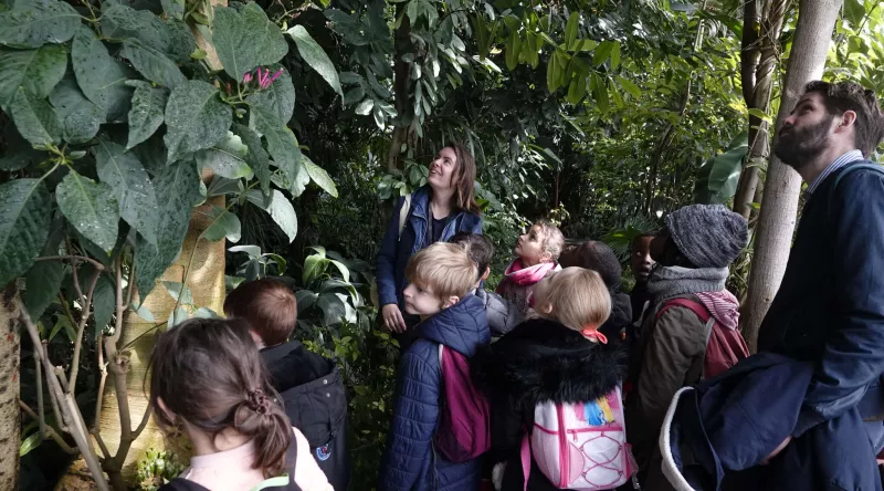 Animation pédagogique dans les Grandes Serres du Jardin des Plantes