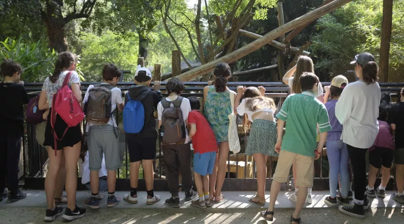 Animation pédagogique à la Ménagerie, le zoo du Jardin des Plantes
