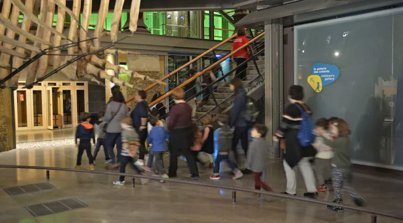 Visite scolaire dans la Grande Galerie de l'Évolution