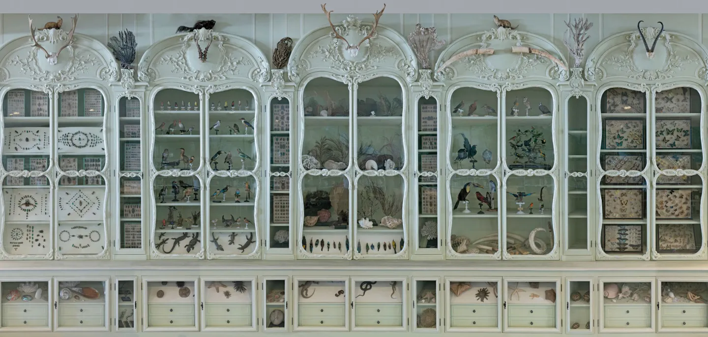 Cabinet de curiosité de Joseph Bonnier de la Mosson © MNHN - J.-C. Domenech