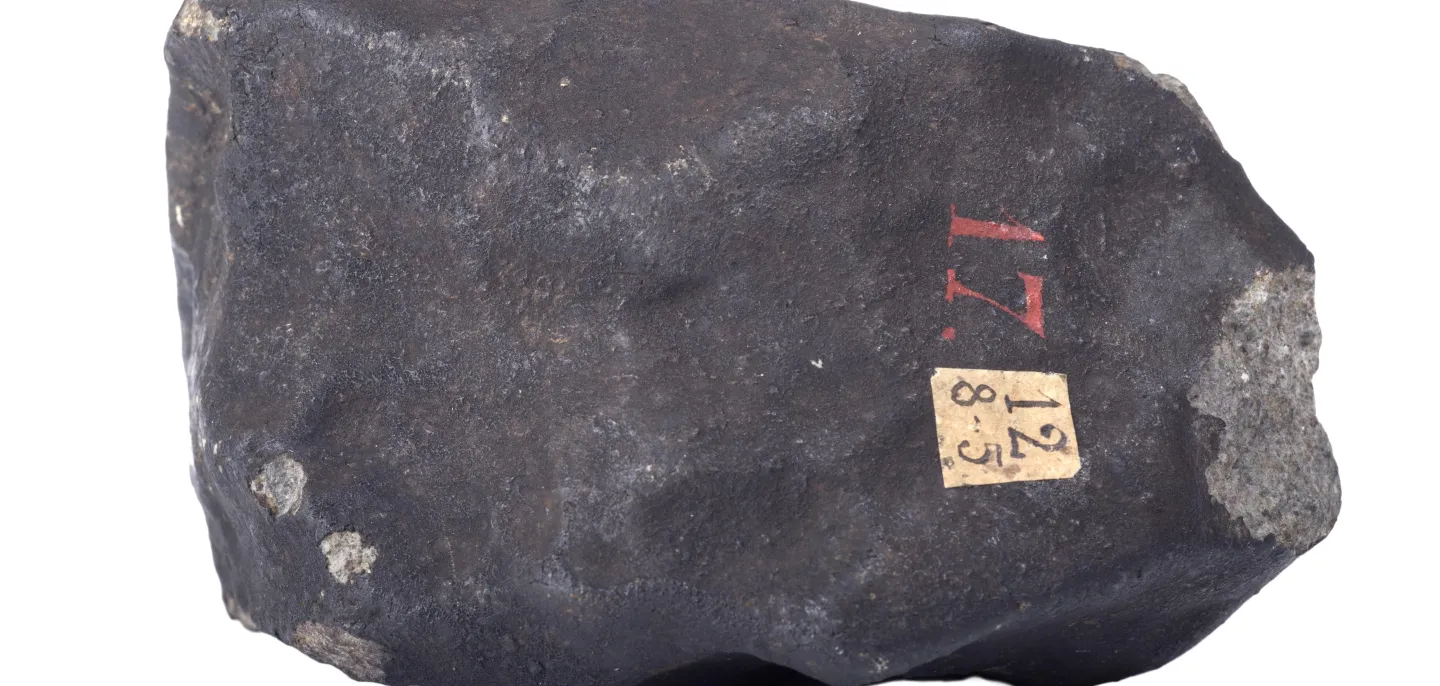 Météorite de l'Aigle © MNHN - J.-C. Domenech Météorite de l'Aigle