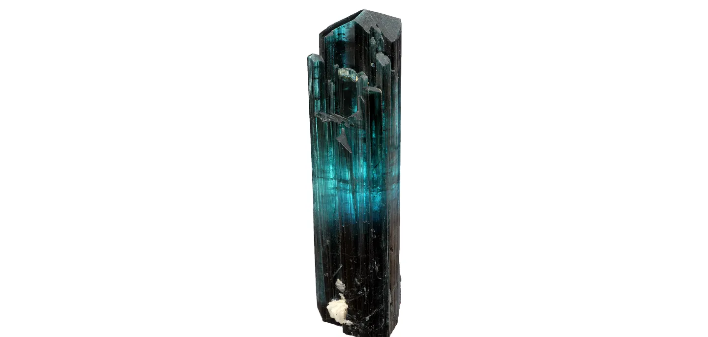 Cristal d’elbaïte de variété indicolite et de couleur bleu légèrement vert (Inv. 200.49) © MNHN - L.-D. Bayle Cristal d’elbaïte de variété indicolite et de couleur bleu légèrement vert sur fond blanc