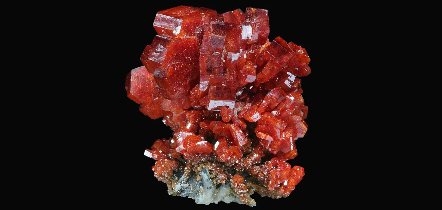 Superbes cristaux hexagonaux de vanadinite, d’un rouge-orangé prononcé (Inv. 203.238) © MNHN - L.-D. Bayle Cristaux de Vanadite rouge-orangés sur fond noir