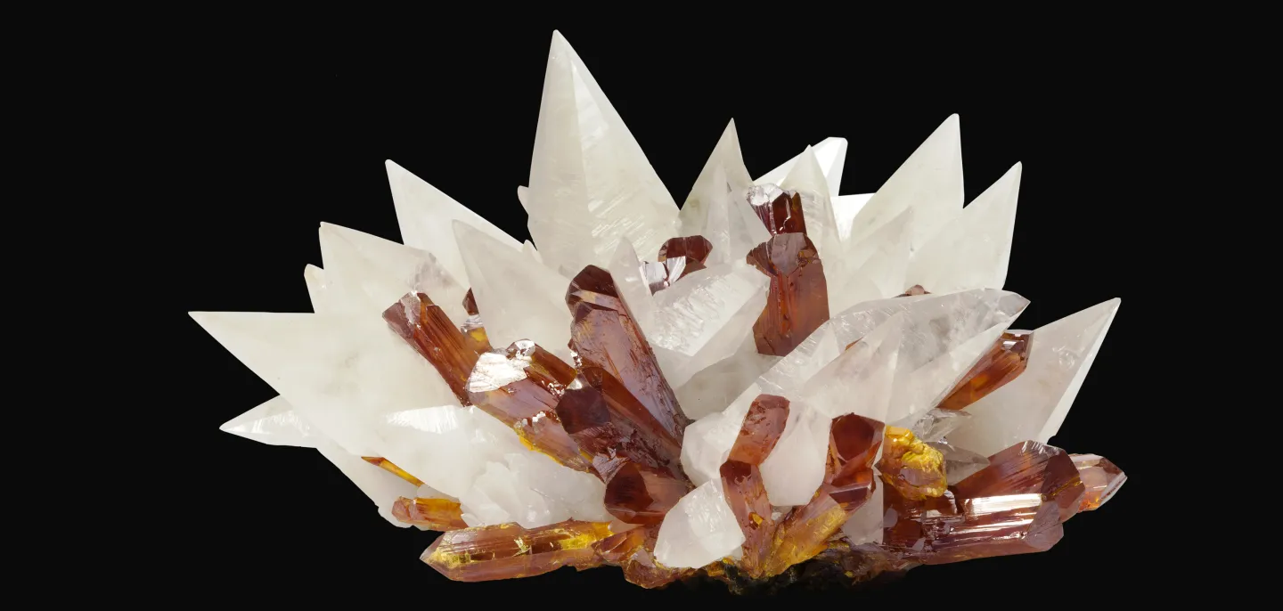 Cristaux jaune-orangé d’orpiment entrelacés de scalénoèdres de calcite blanche (Inv. 193.6) © MNHN - L.-D. Bayle