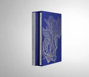 Couverture du coffret collector fêtes de fin d'année 2022