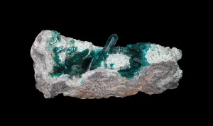 Assemblage de cristaux prismatiques vert profond de Dioptase sur du Quartz sur fond noir