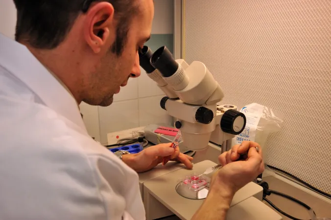 Chercheur au microscope à la Réserve zoologique de la Haute-Touche