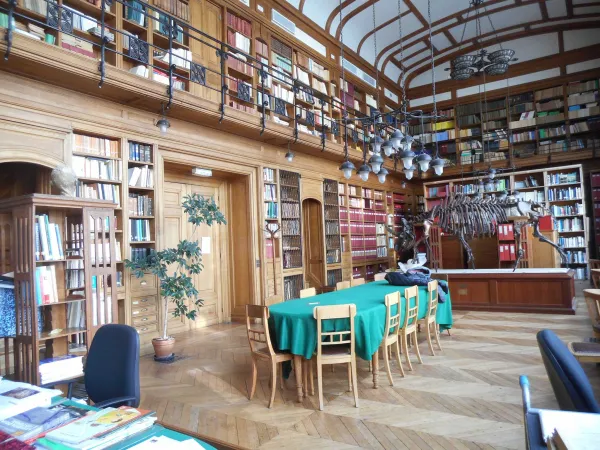 Photo de l'intétieur de la bibiothèque de la Galerie de paléontologie humaine
