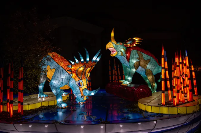 Photo de deux structures lumineuses géantes de Styracosaurus