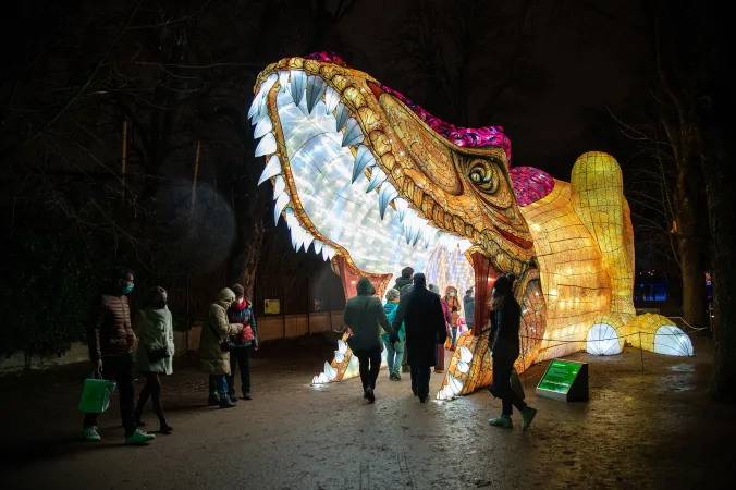 Photo de visiteurs entrant dans la bouche d'une structure lumineuse géante de Tyrannosaurus rex