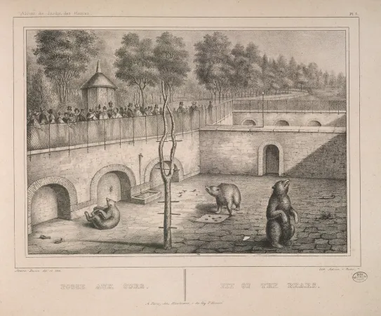 Illustration de la fosse aux ours