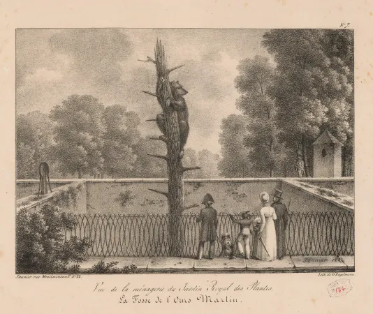 Illustration de la fosse aux ours