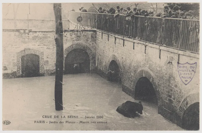 Photo de la fosse aux ours lors de la crue de la Seine en 1910