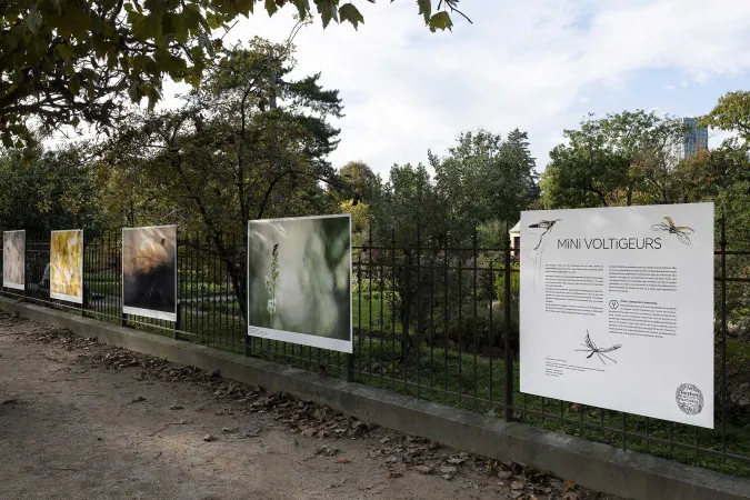Les photographies de Ghislain Simard exposées sur des panneaux dans le Jardin des Plantes.