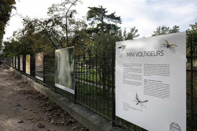 Les photographies de Ghislain Simard exposées sur des panneaux dans le Jardin des Plantes.