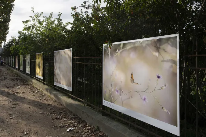 Les photographies de Ghislain Simard exposées sur des panneaux dans le Jardin des Plantes.