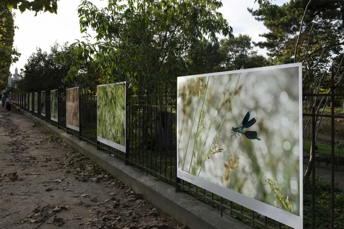 Les photographies de Ghislain Simard exposées sur des panneaux dans le Jardin des Plantes.