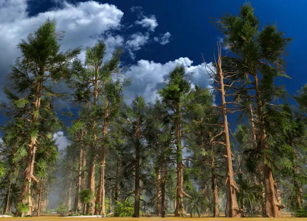 Forêt de grands conifères ressemblant à des pins.