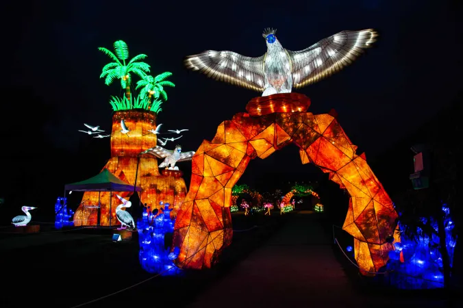 Océan en voie d’illumination © MNHN - F.-G. Grandin